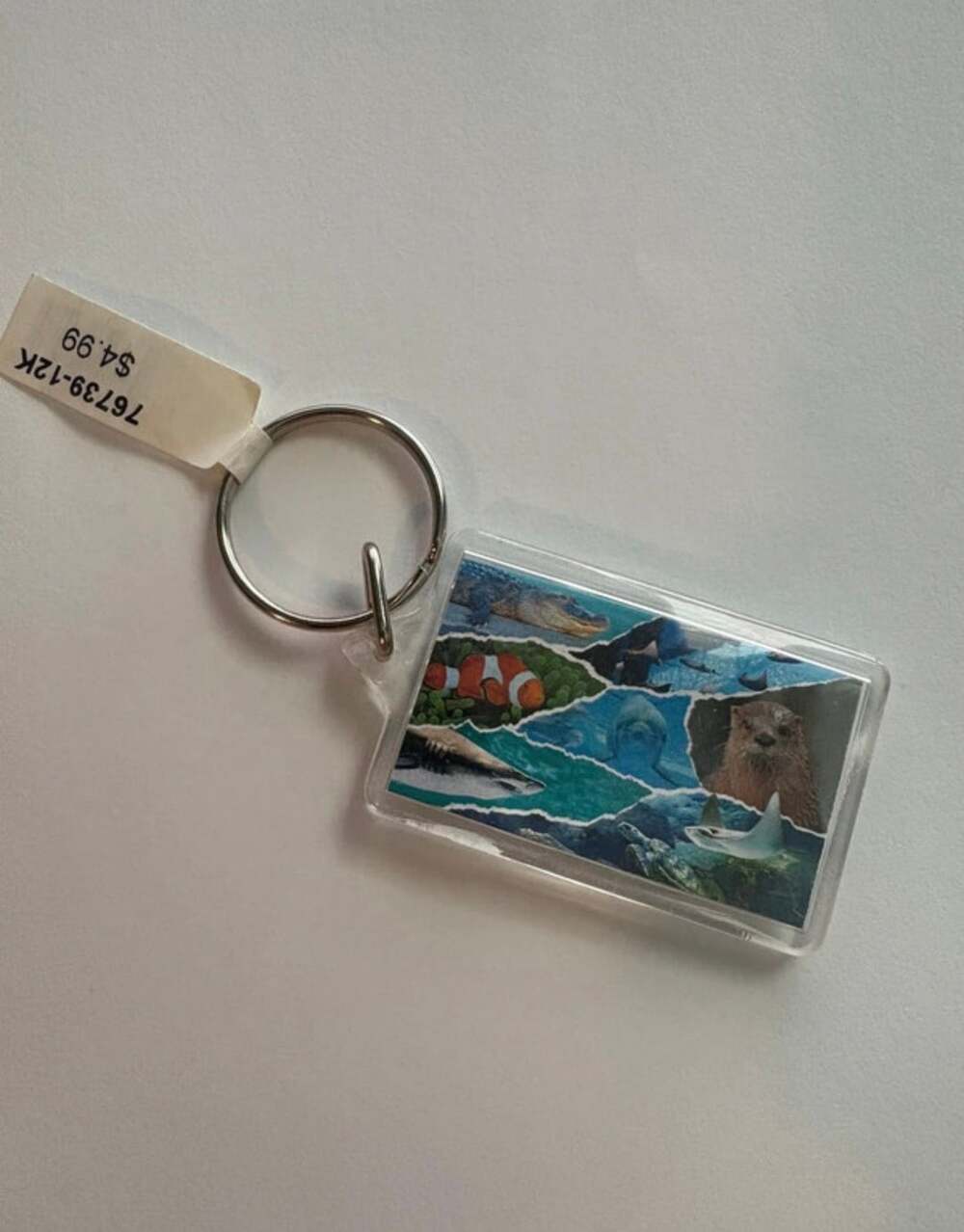 Texas State Aquarium Souvenir Acrylic Photo Collage Keychain
